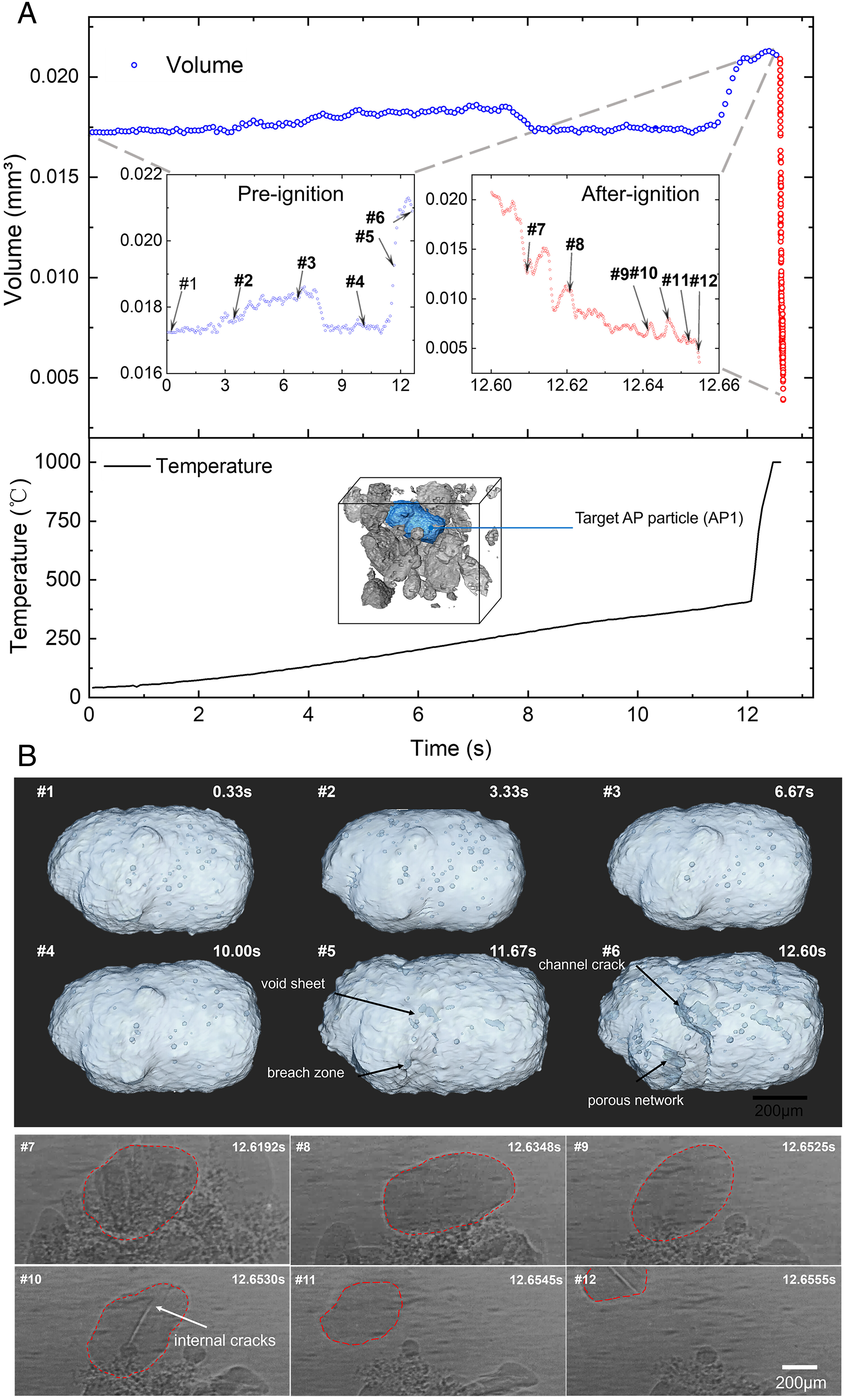 1763624943752080.jpg 江治定1.jpg